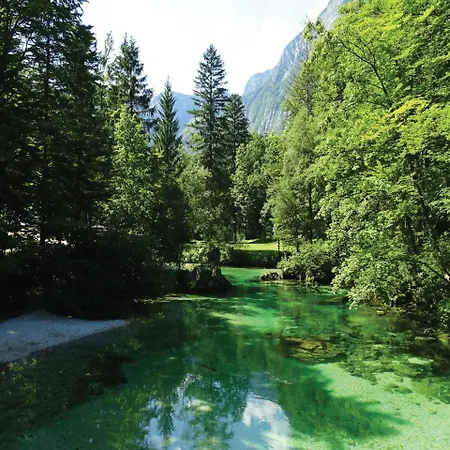 דירה Stunning In Bohinjska Bistrica With 1 Bedrooms And Wifi *